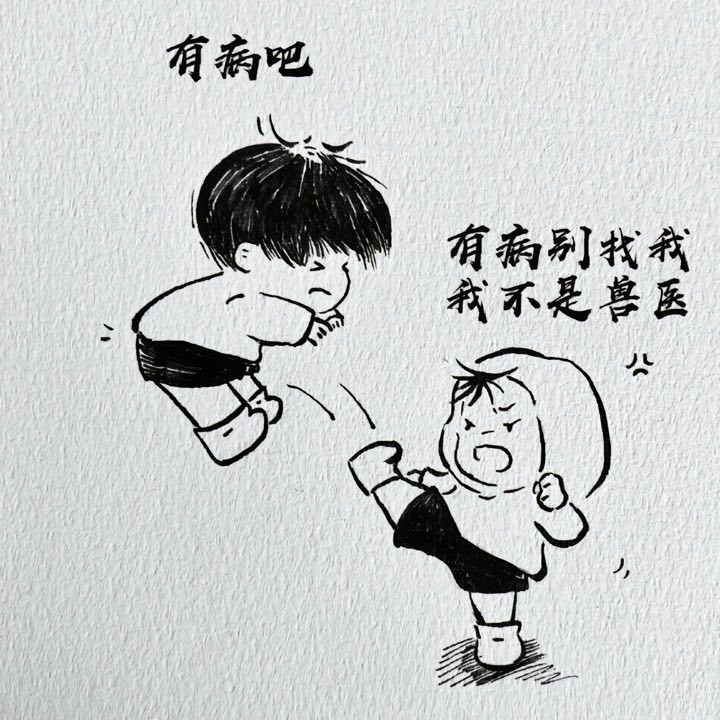 我不是兽医文字头像