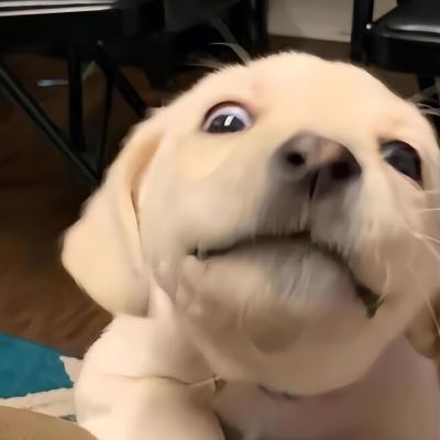 一千米的孤独深海