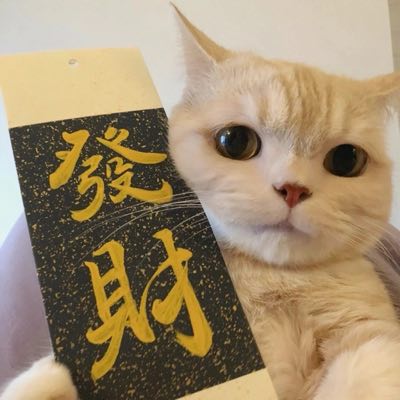 慢慢习惯-自然