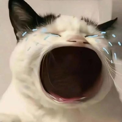 傻瓜都一样