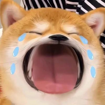 宠爱↘白痴
