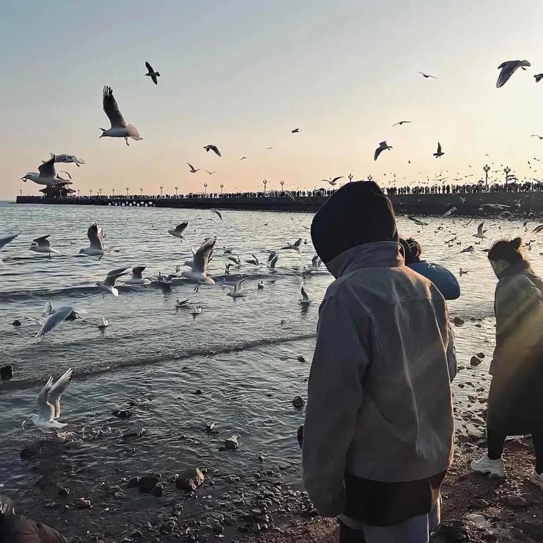 _𝙬𝙚𝙘𝙝𝙖𝙩头像丨 成熟有故事的男生头像010