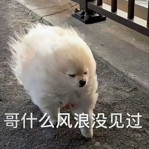哥什么风浪没见过表情包