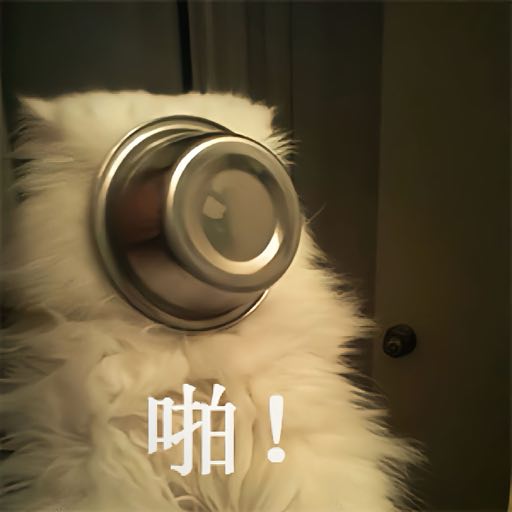 啪已盆拍在狗脸上表情包