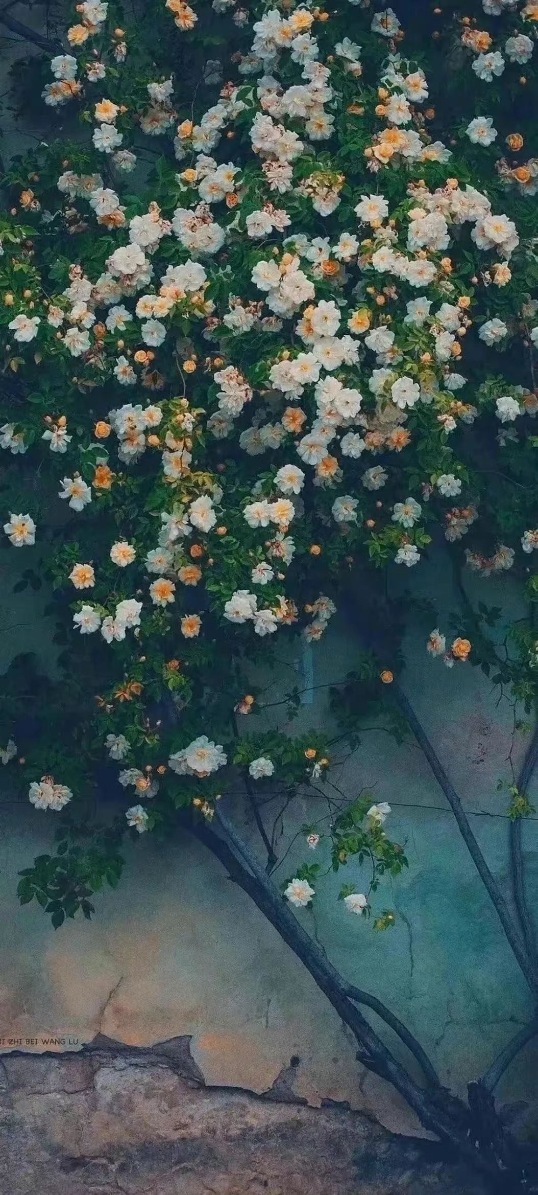 插画风景花壁纸