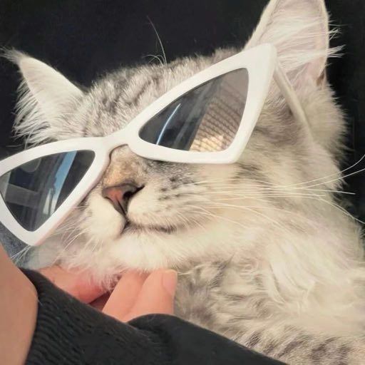 带着眼镜猫猫萌宠头像