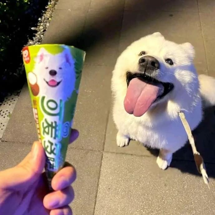 又到了换背景的快乐时刻003