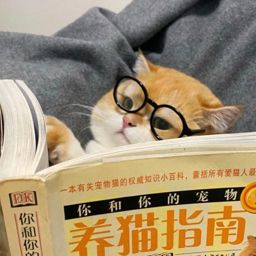养猫指南萌宠微信头像